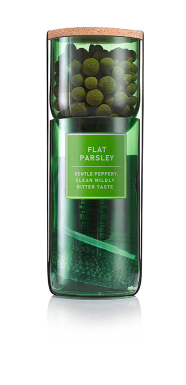 Flat Parsley