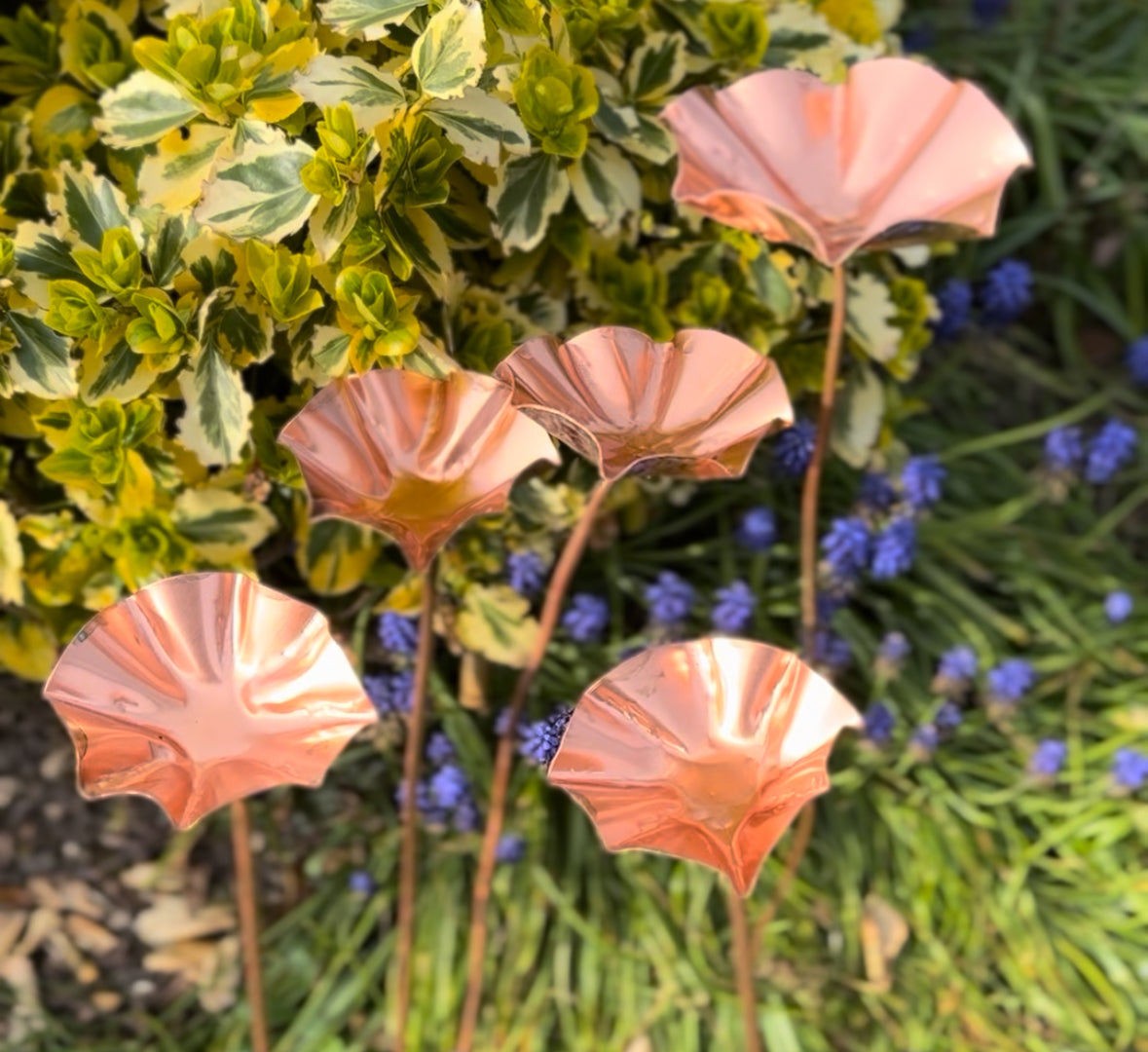 5 x Copper Bee Drinker Bundle