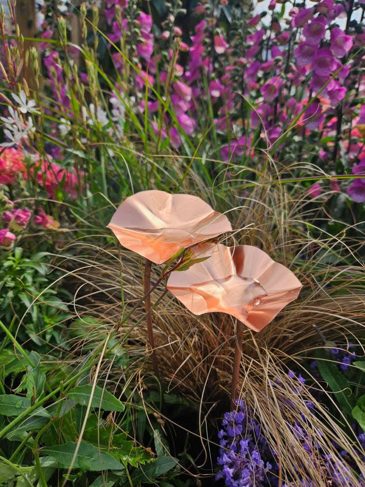 5 x Copper Bee Drinker Bundle