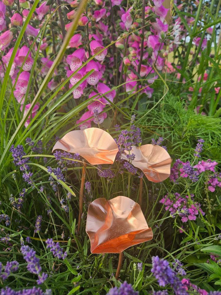 5 x Copper Bee Drinker Bundle