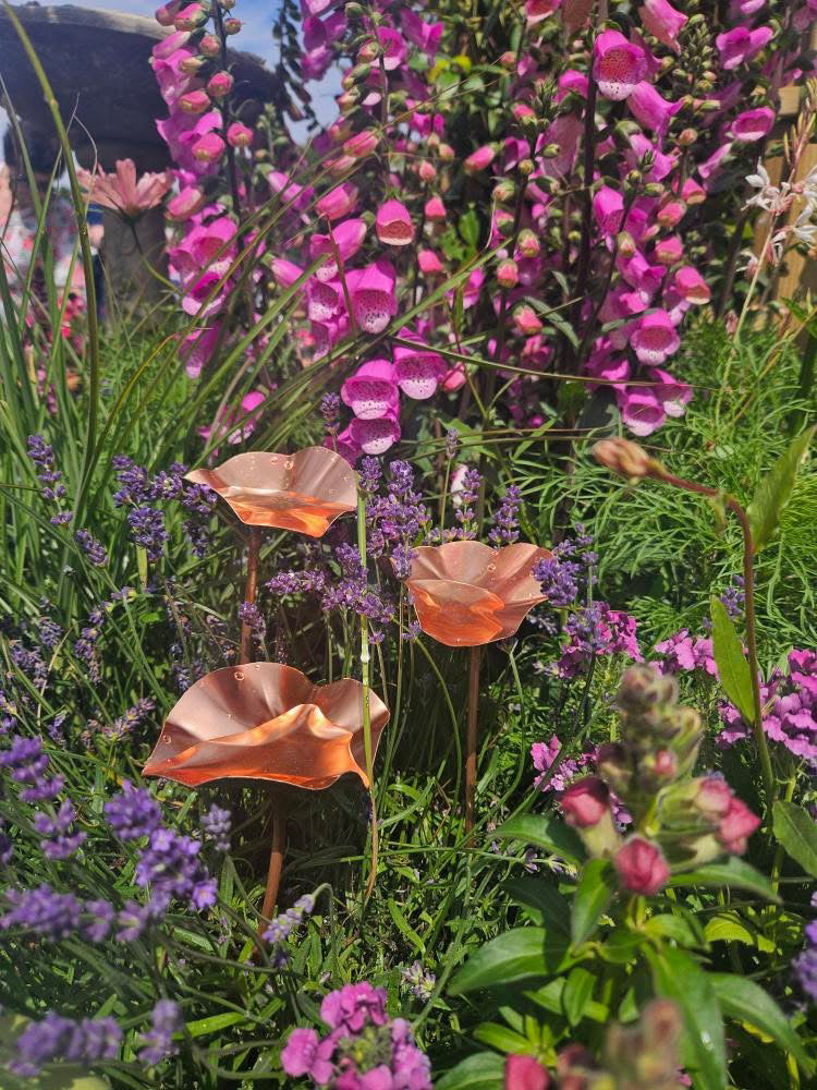 5 x Copper Bee Drinker Bundle