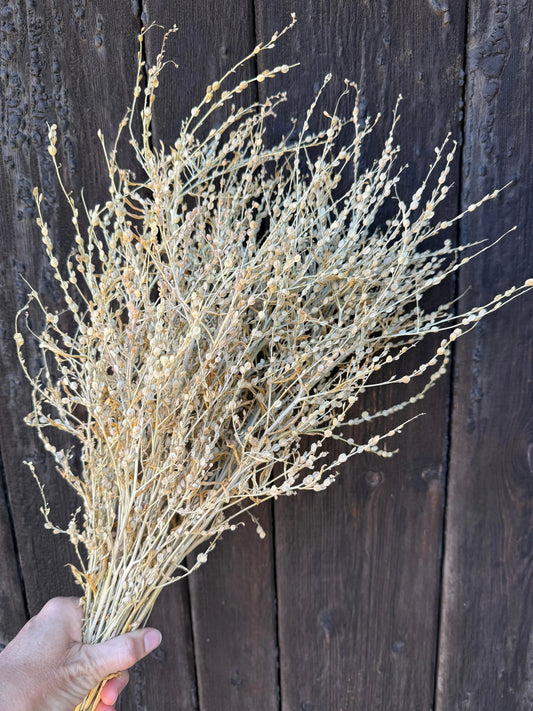 Lepidium sativum Dried