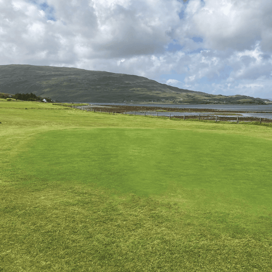PM 90 Coastal – Salt‑Tolerant Grass Seed Mix for Coastal Sites & Exposed Landscapes