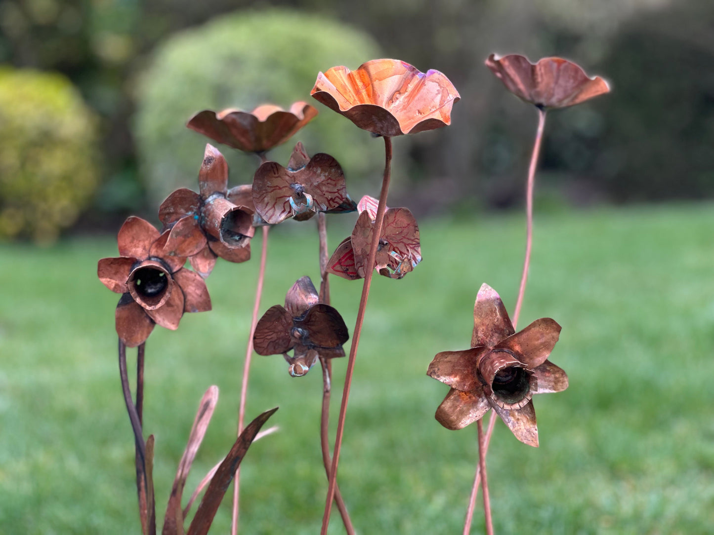 5 x Copper Bee Drinker Bundle