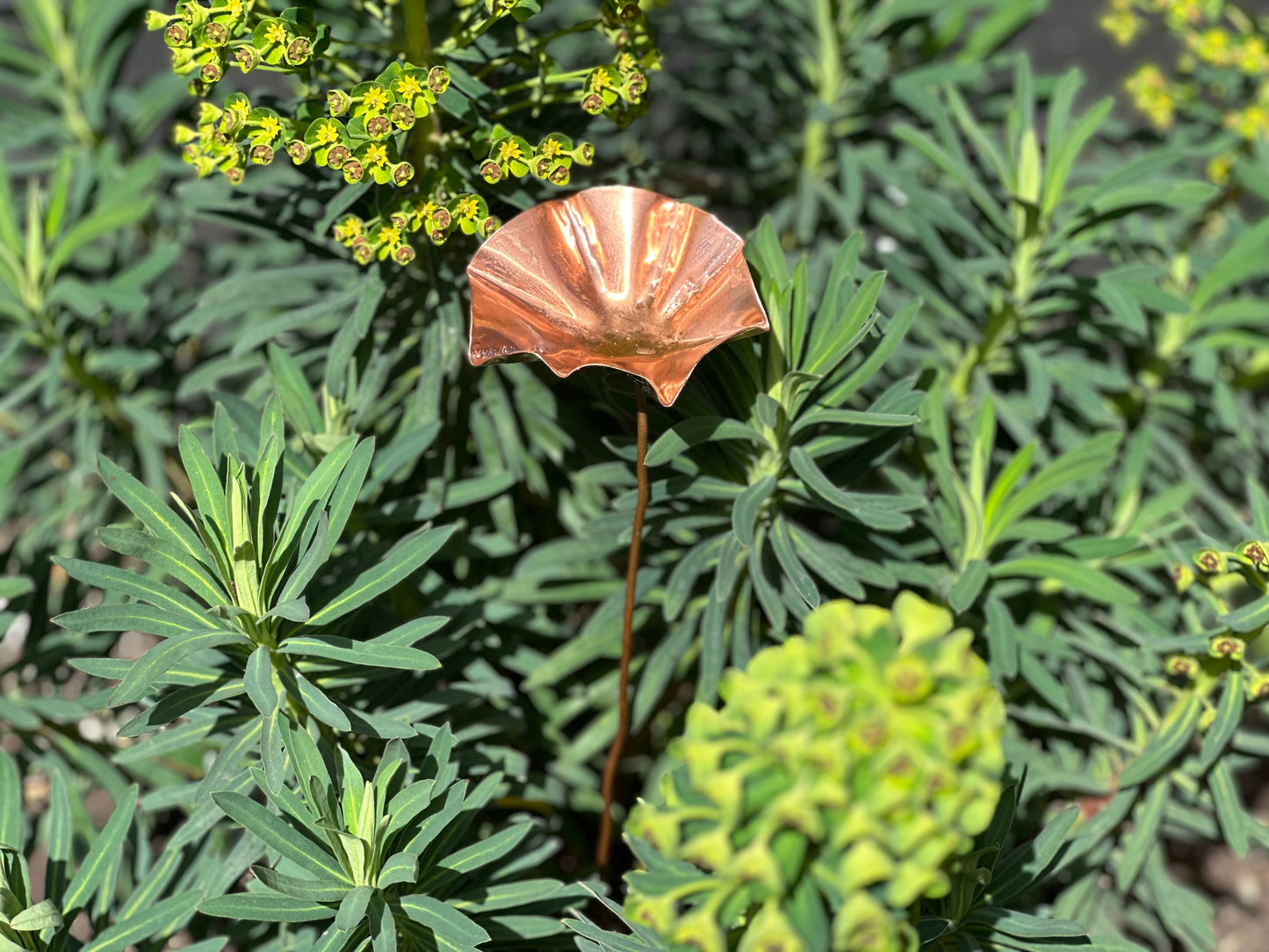 5 x Copper Bee Drinker Bundle