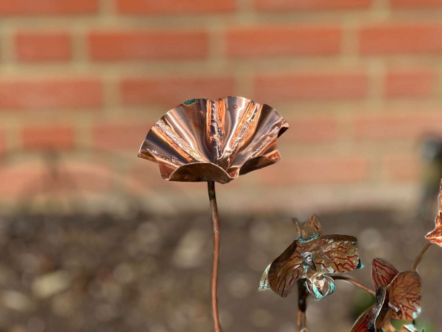 5 x Copper Bee Drinker Bundle