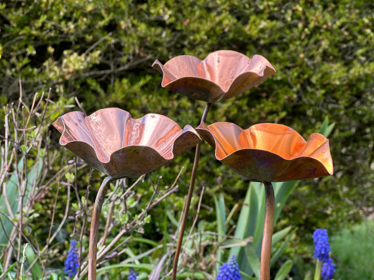 5 x Copper Bee Drinker Bundle