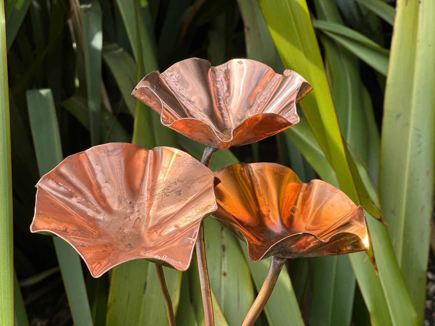 5 x Copper Bee Drinker Bundle