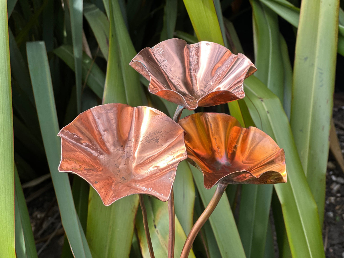 5 x Copper Bee Drinker Bundle