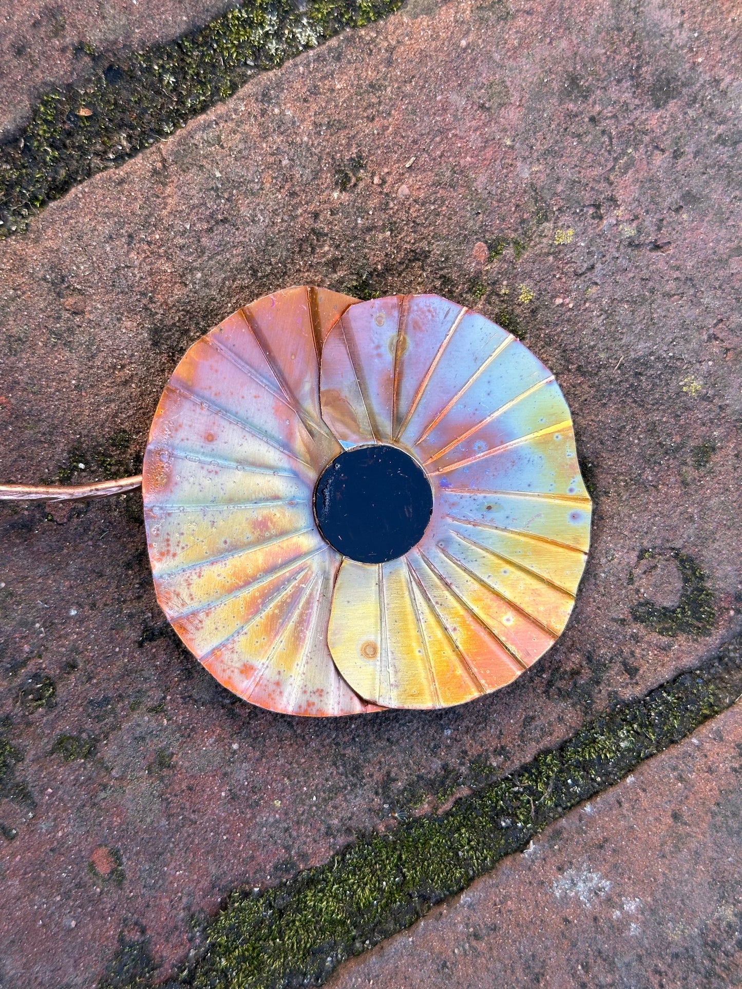 Copper Poppy Flower
