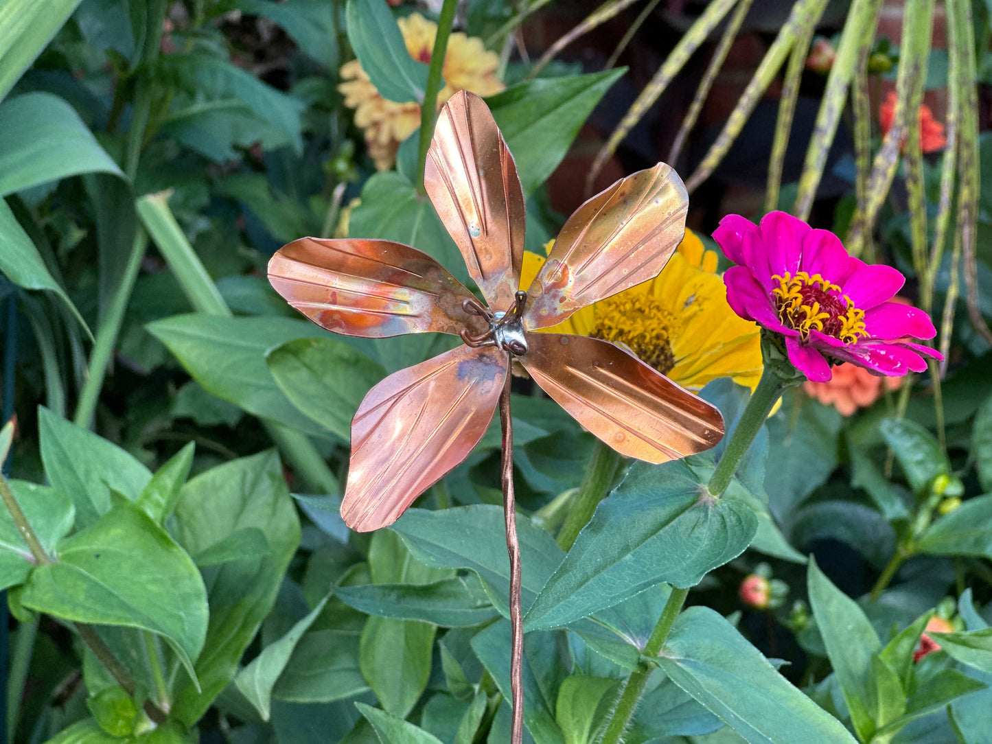 Copper Clematis Flower