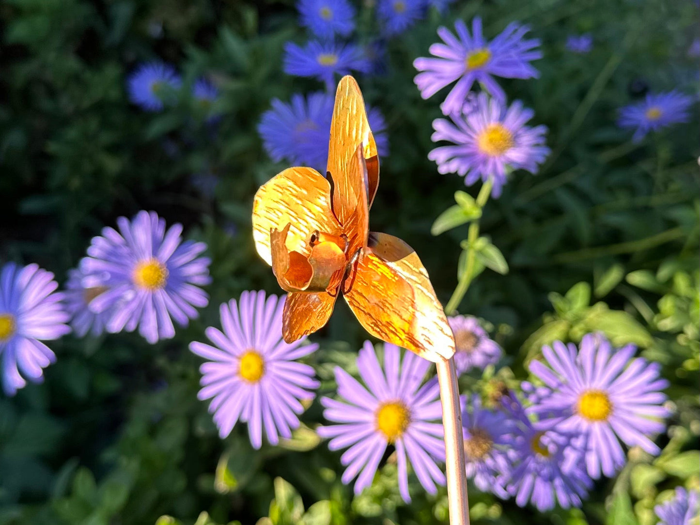 Copper Orchid Flower