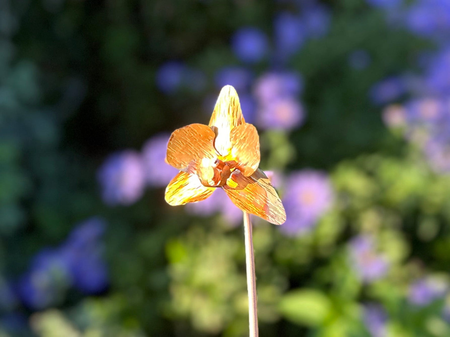 Copper Orchid Flower
