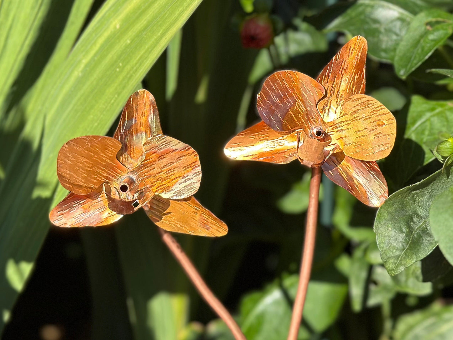 Copper Orchid Flower