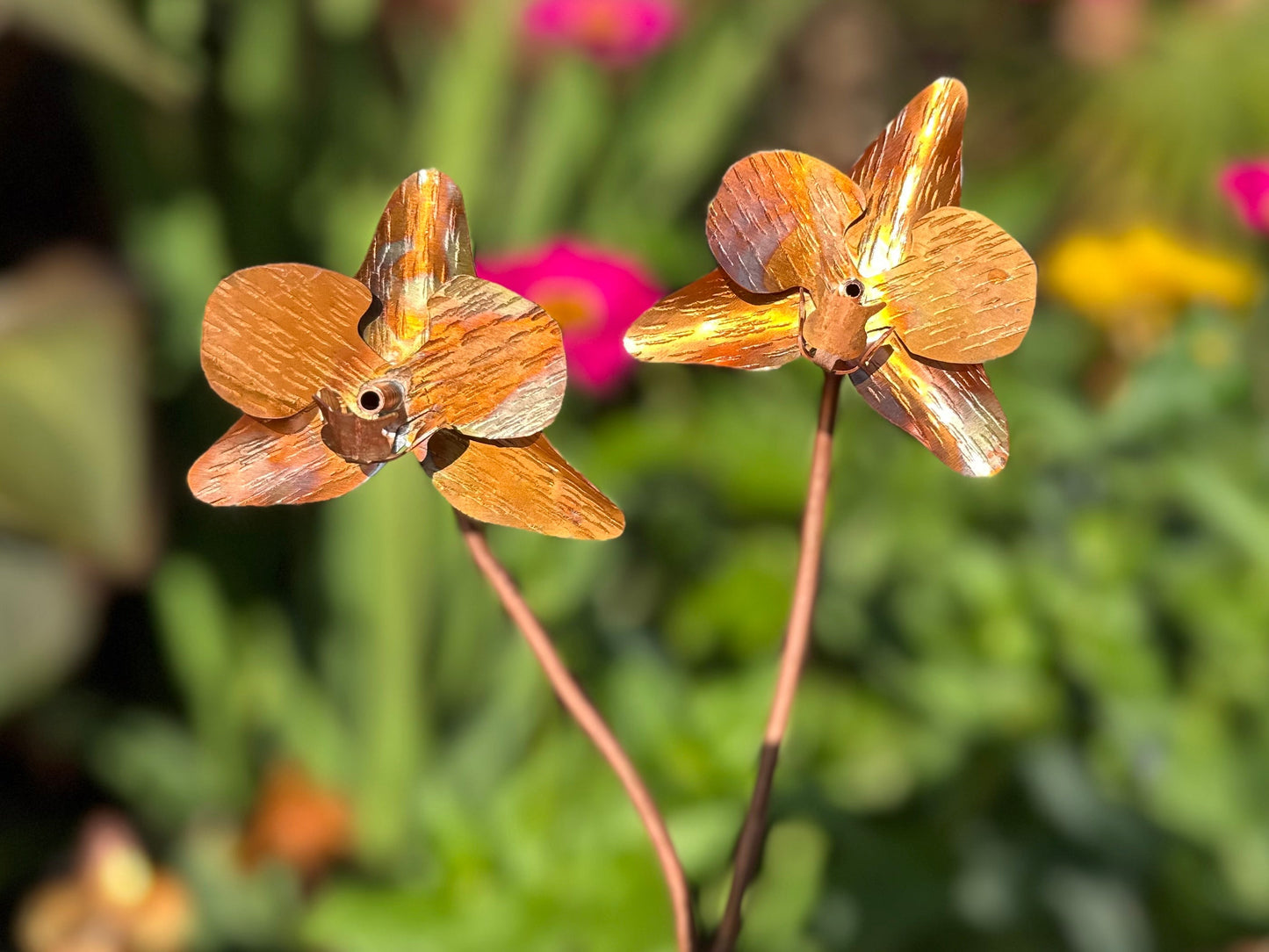 Copper Orchid Flower