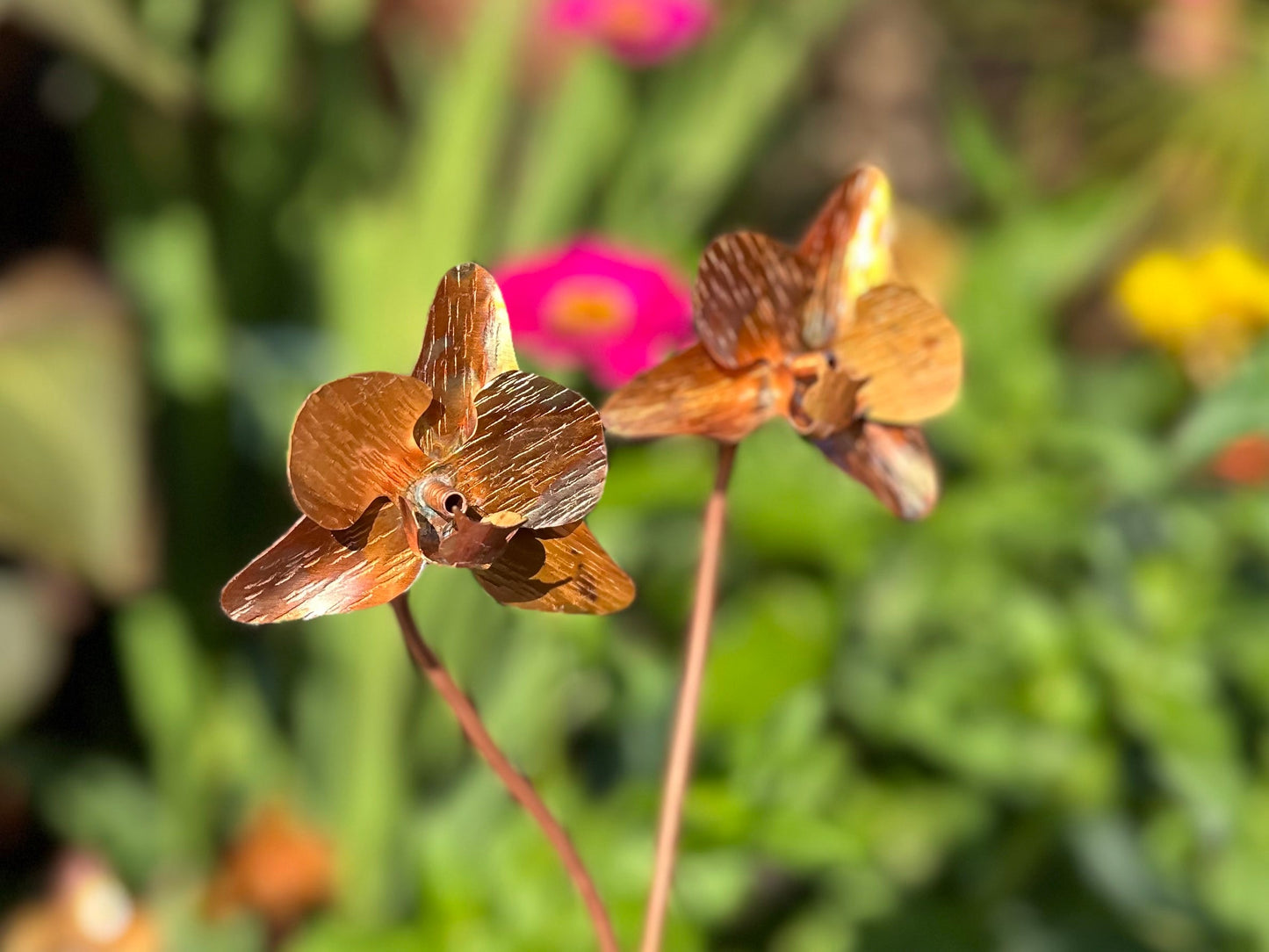 Copper Orchid Flower