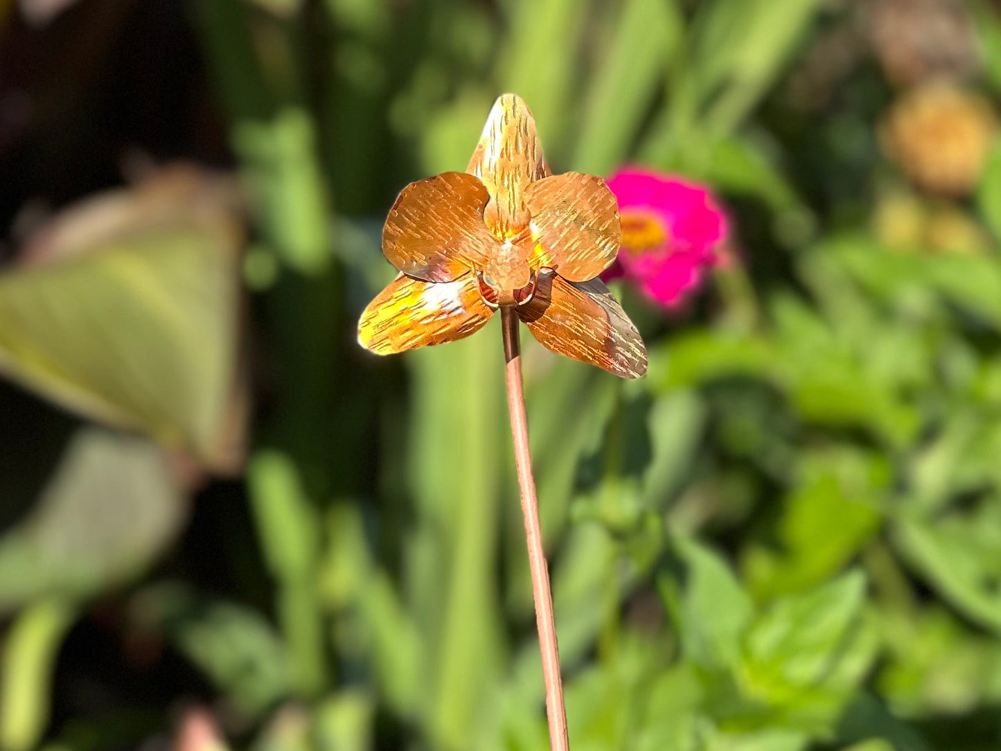 Copper Orchid Flower
