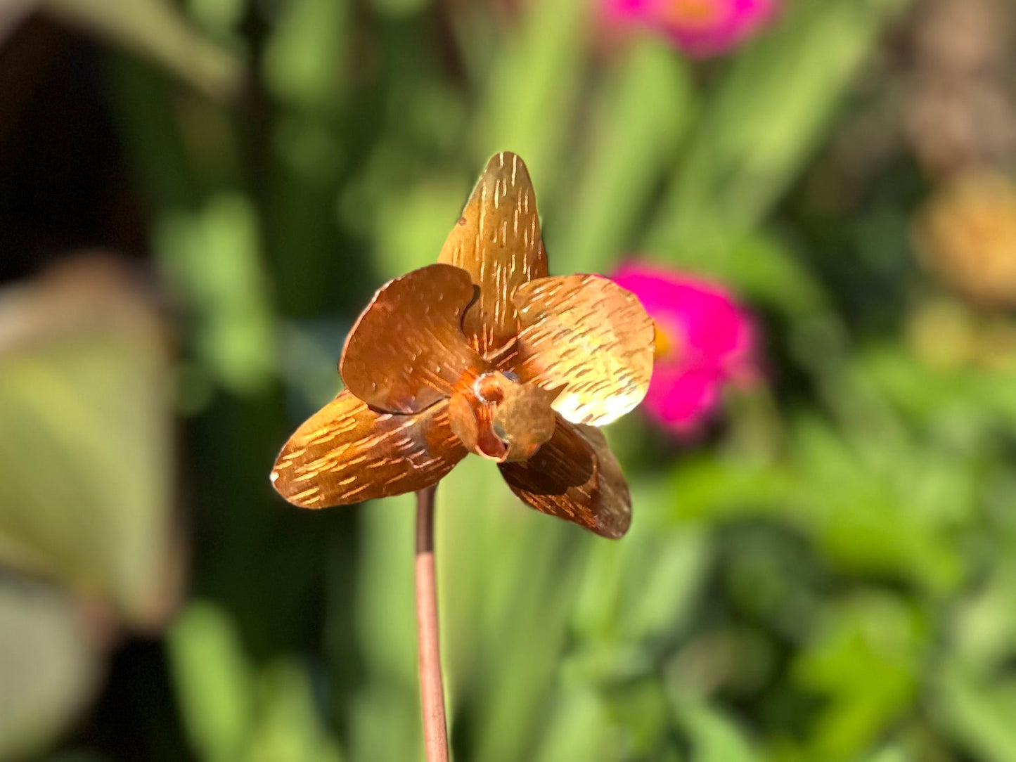 Copper Orchid Flower
