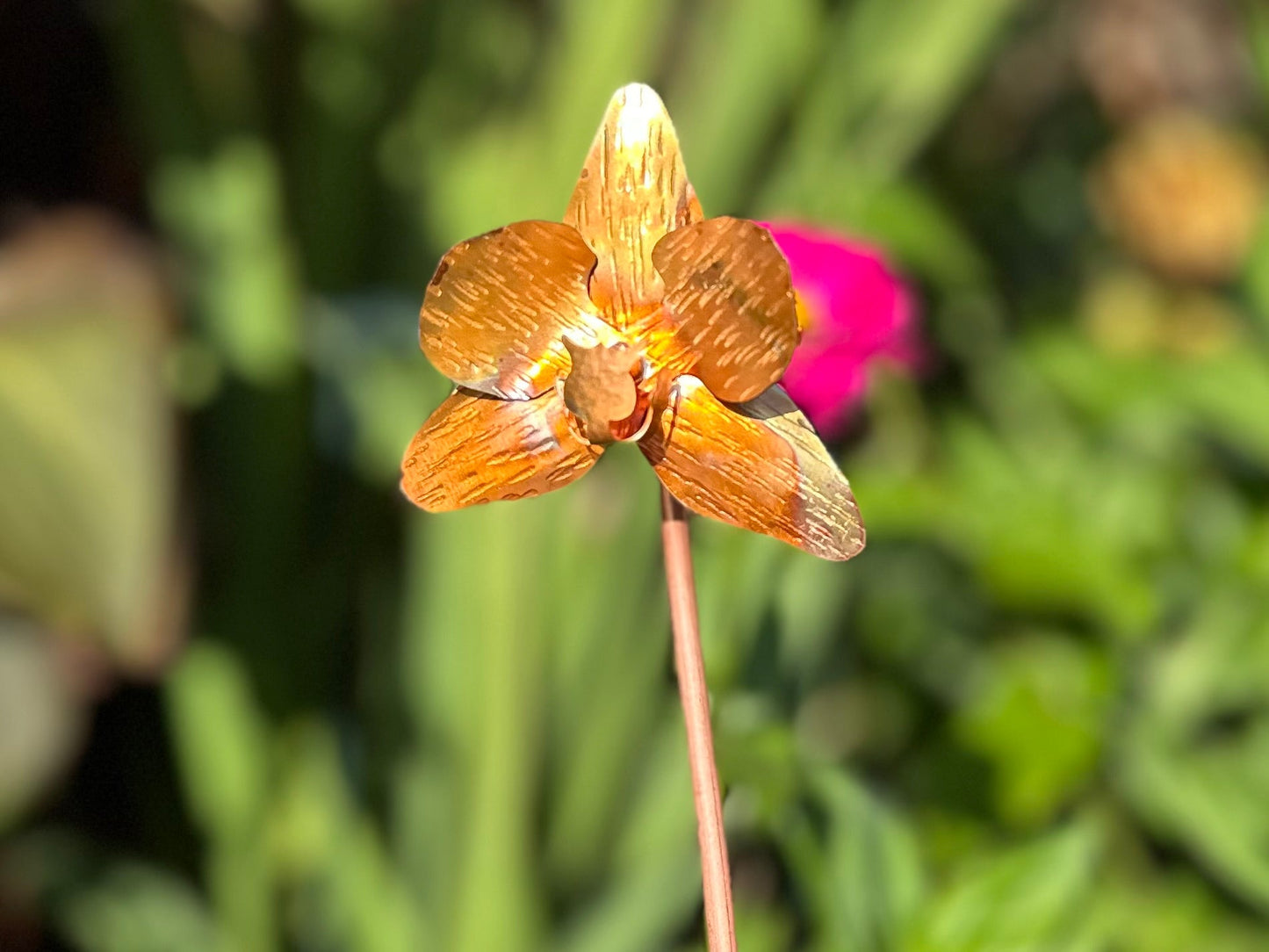 Copper Orchid Flower