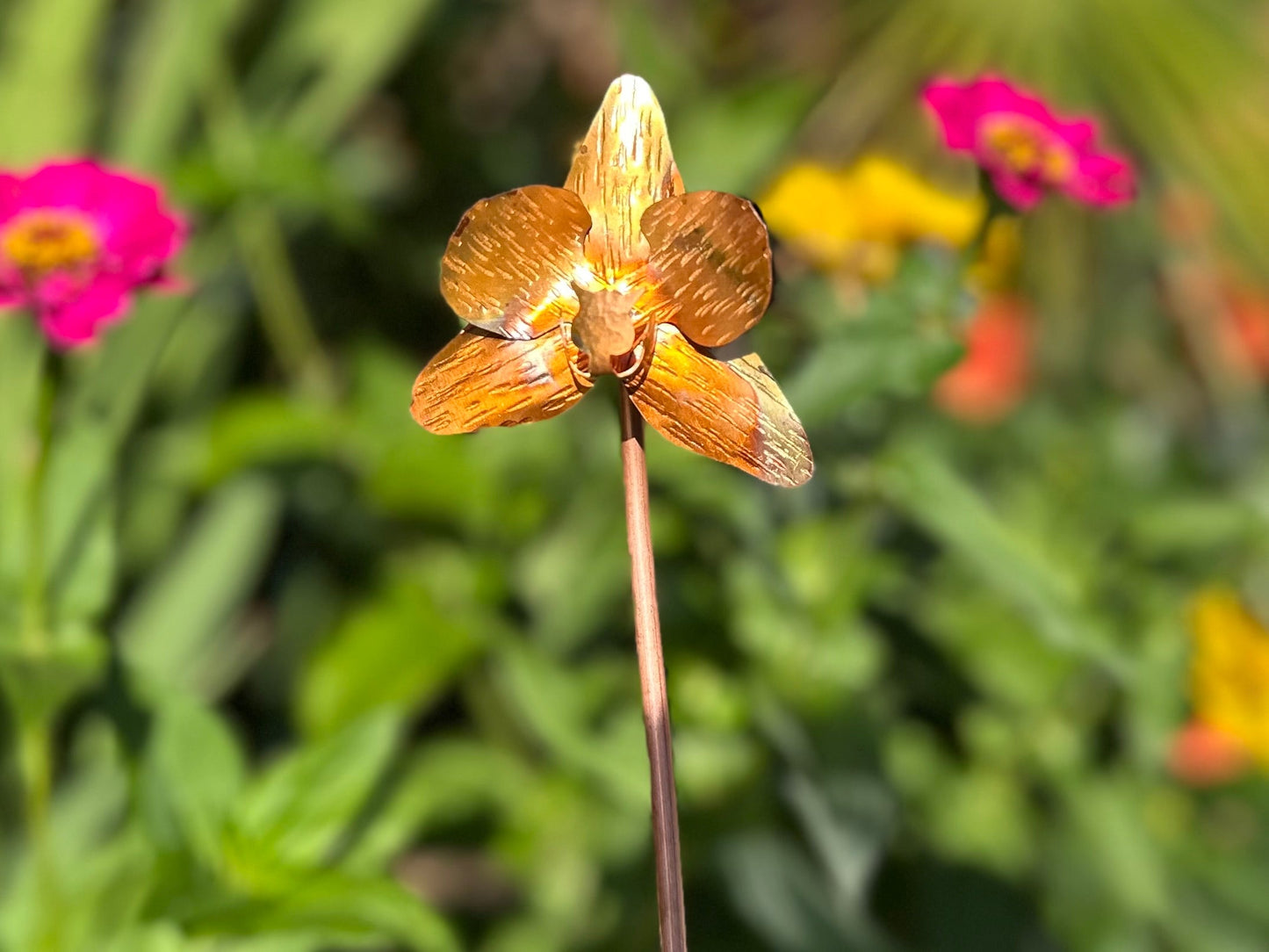 Copper Orchid Flower