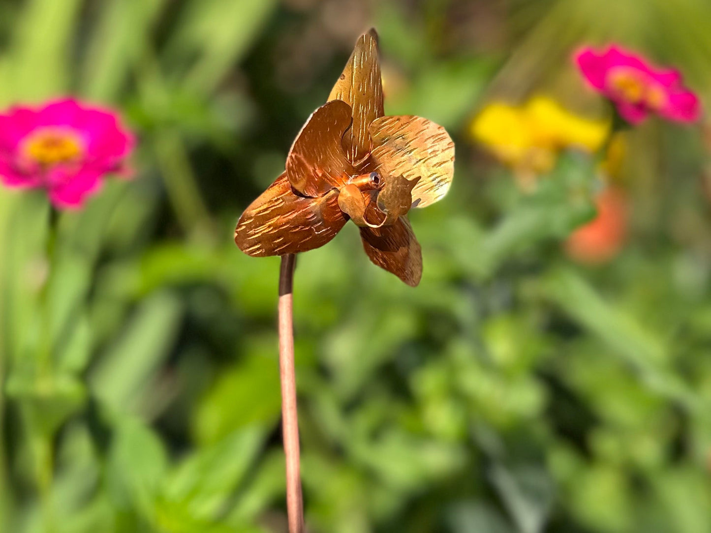 Copper Orchid Flower