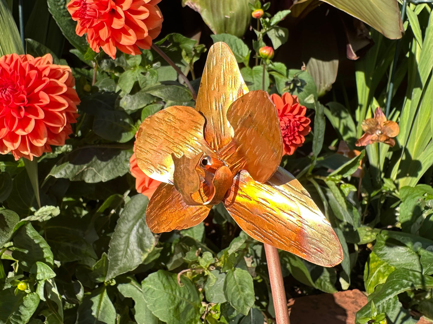 Copper Orchid Flower