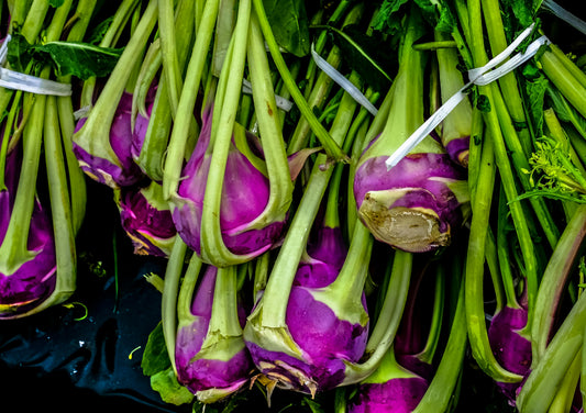 Kohlrabi Red Plug Plants - "Grow Your Own" Vegetables **Letterbox Friendly**