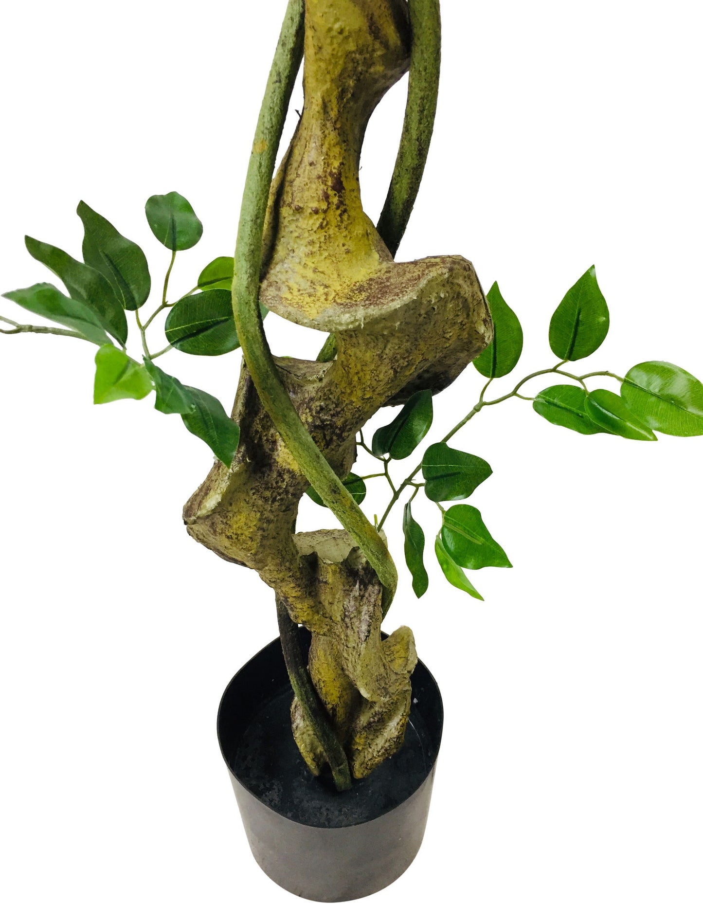 Artificial Ficus Tree With Twisted Trunk 137cm