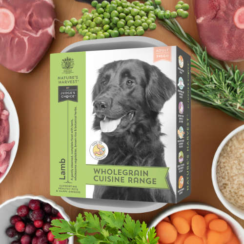 Lamb & Vegetables with Brown Rice - Adult