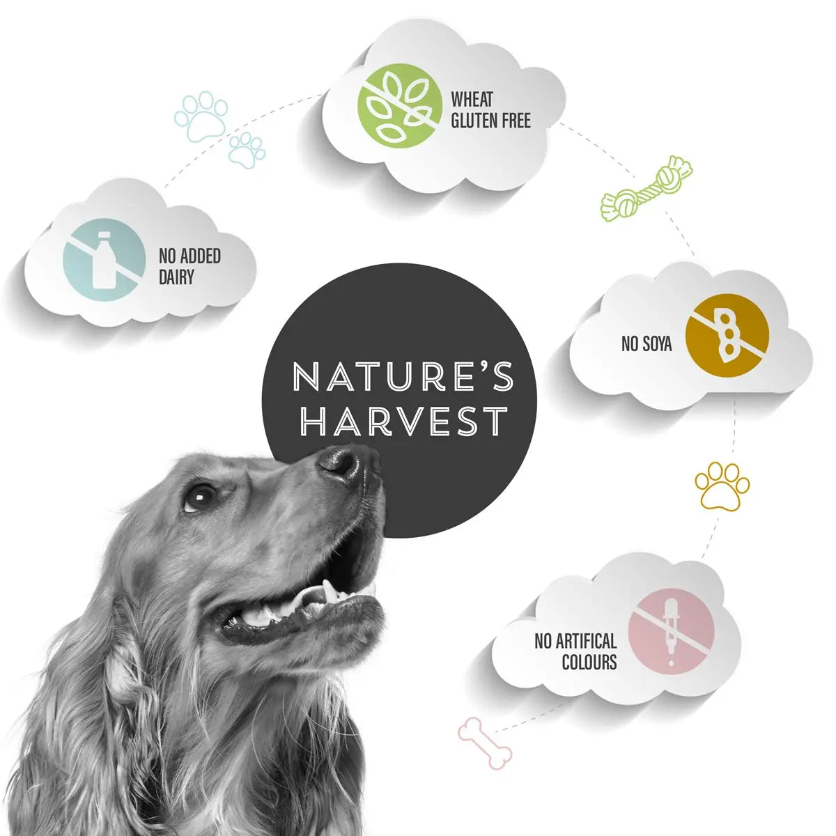 Nature's Harvest Variety Pack - Adult