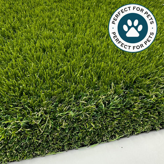 Pet Elite 50mm Artificial Grass