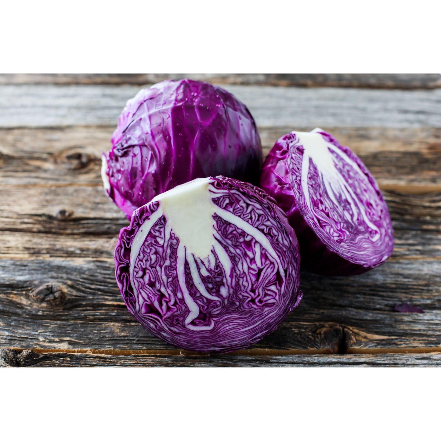 Red Cabbage Plug Plants - "Grow Your Own" Vegetables **Letterbox Friendly**