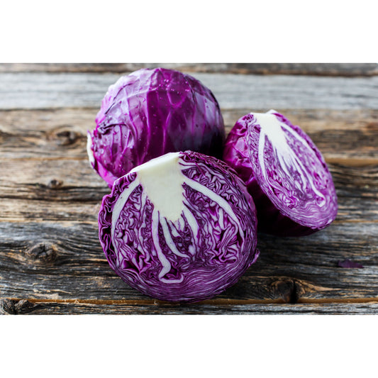 Red Cabbage Plug Plants - "Grow Your Own" Vegetables **Letterbox Friendly**