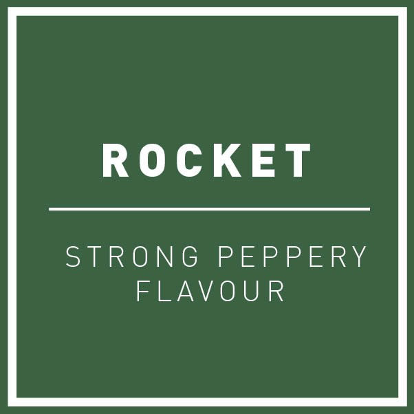 Rocket