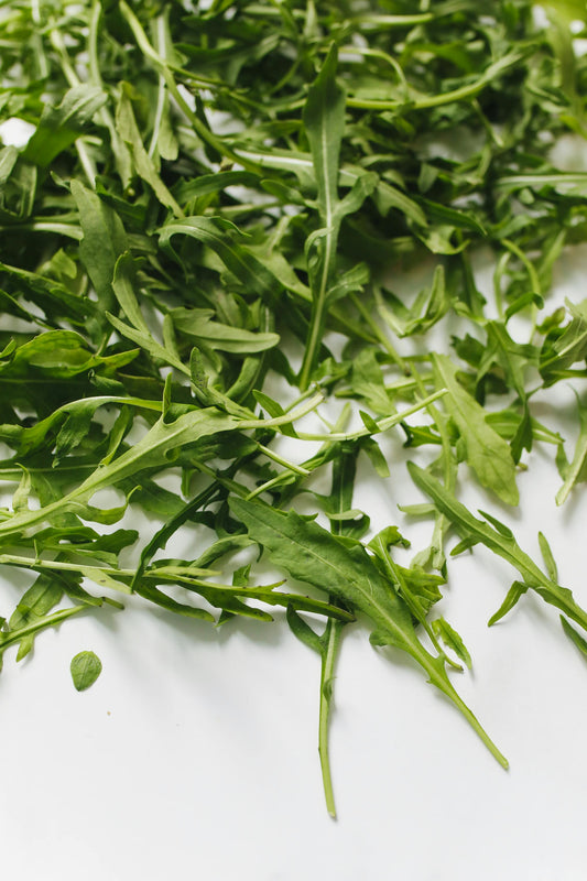 Rocket Salad Plug Plants "Grow Your Own" Salads **Letterbox Friendly**
