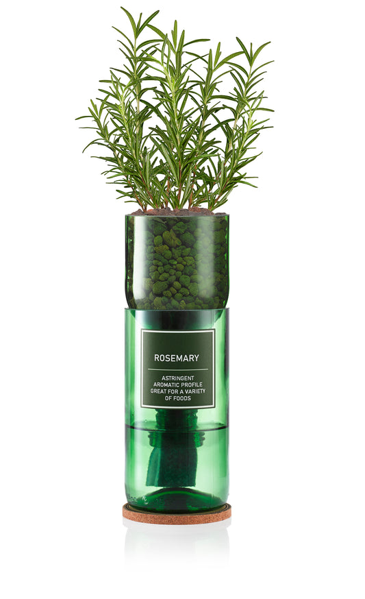 Rosemary