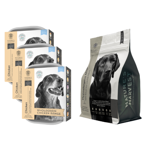 Chicken & Vegetables with Brown Rice - Senior