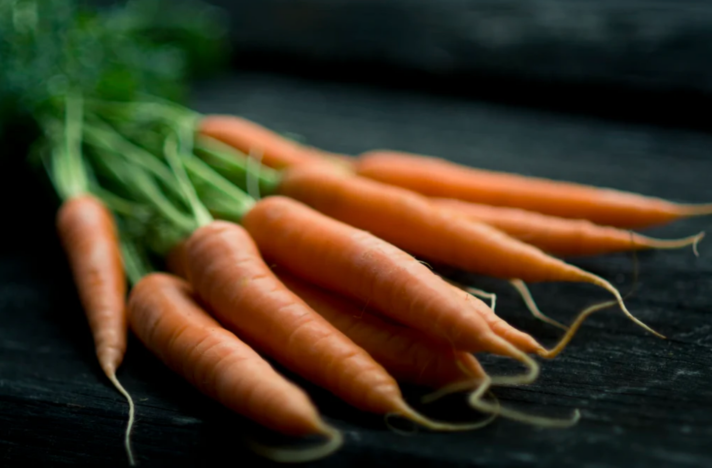 Angus Beef & Carrot