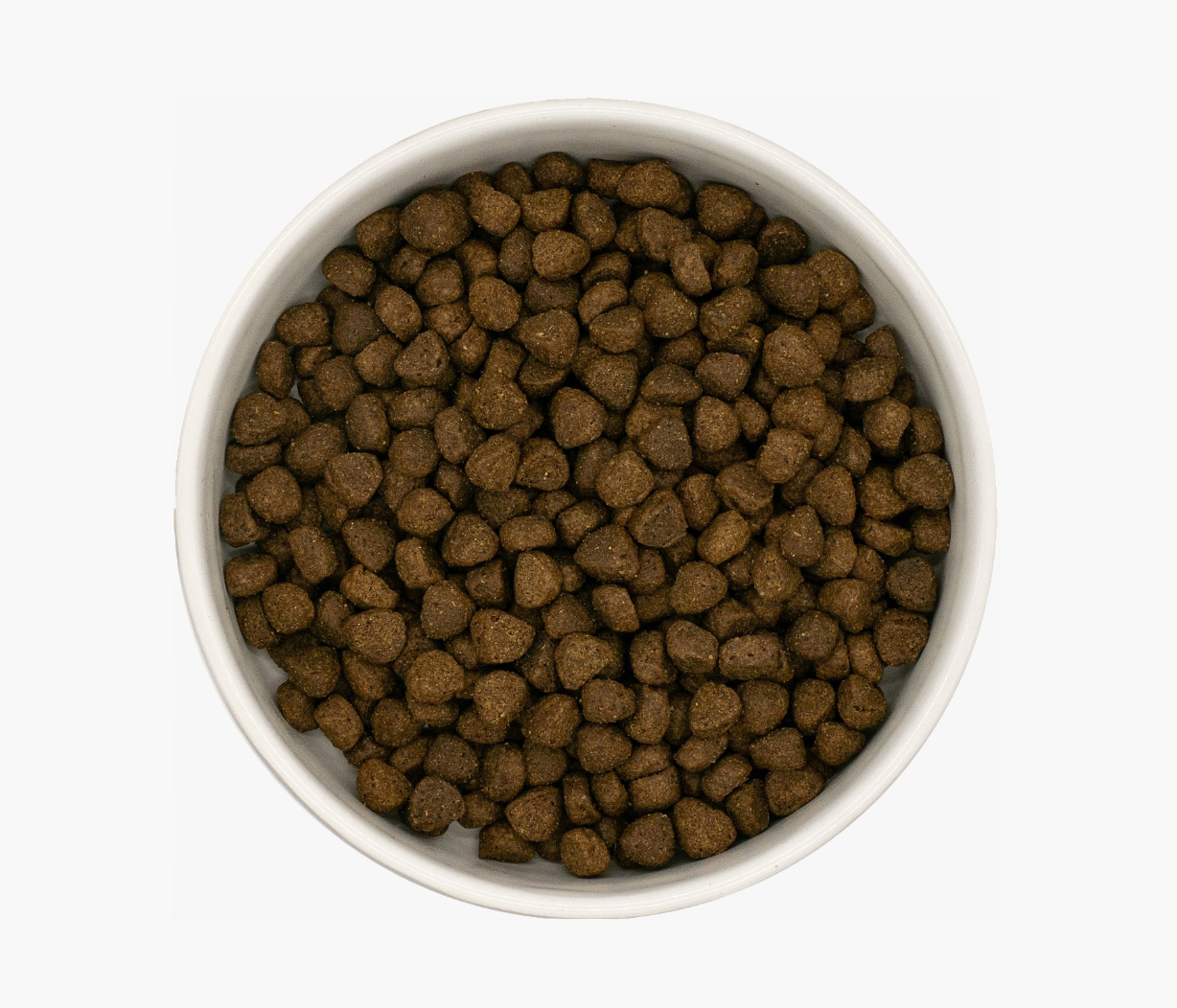 Angus Beef