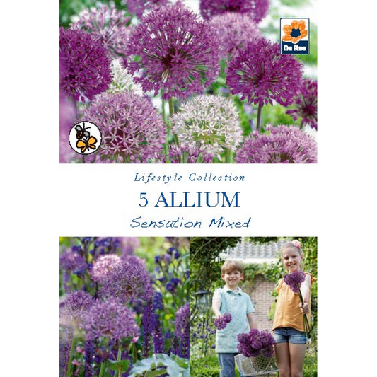 Allium 'Sensation Mixed' (5 Bulbs)