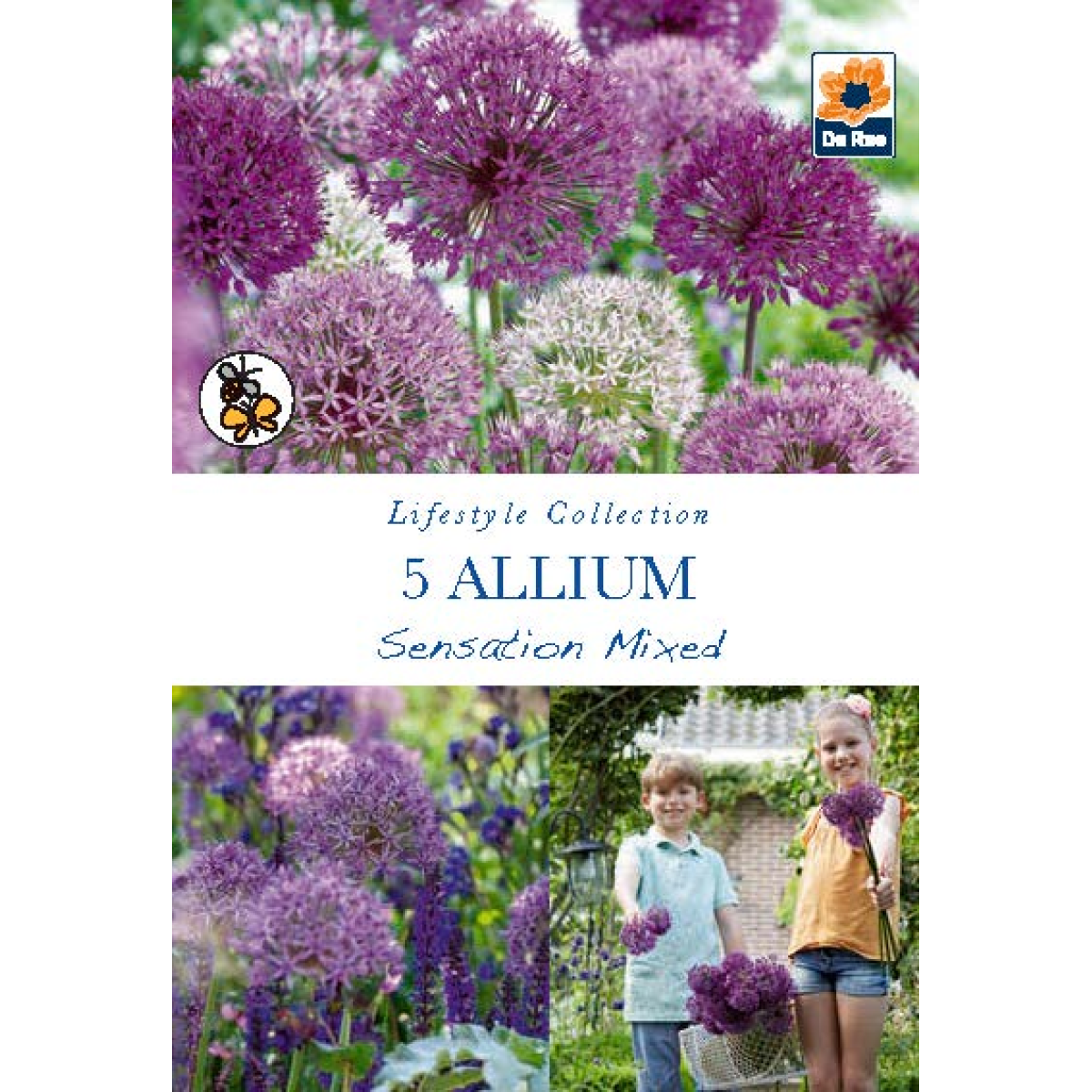 Allium 'Sensation Mixed' (5 Bulbs)