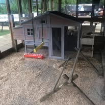 Pet Boarding