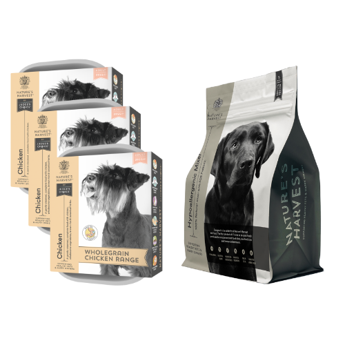 Chicken & Vegetables with Brown Rice Wet Dog Food - Adult