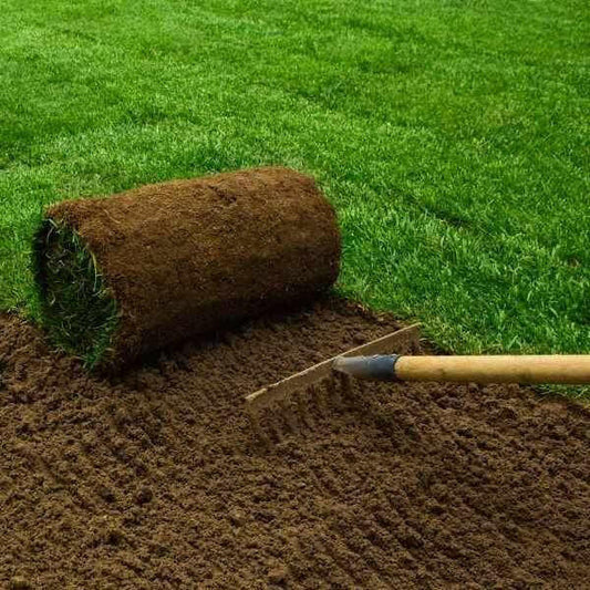 Lawnmix® Welsh Topsoil for lush lawns