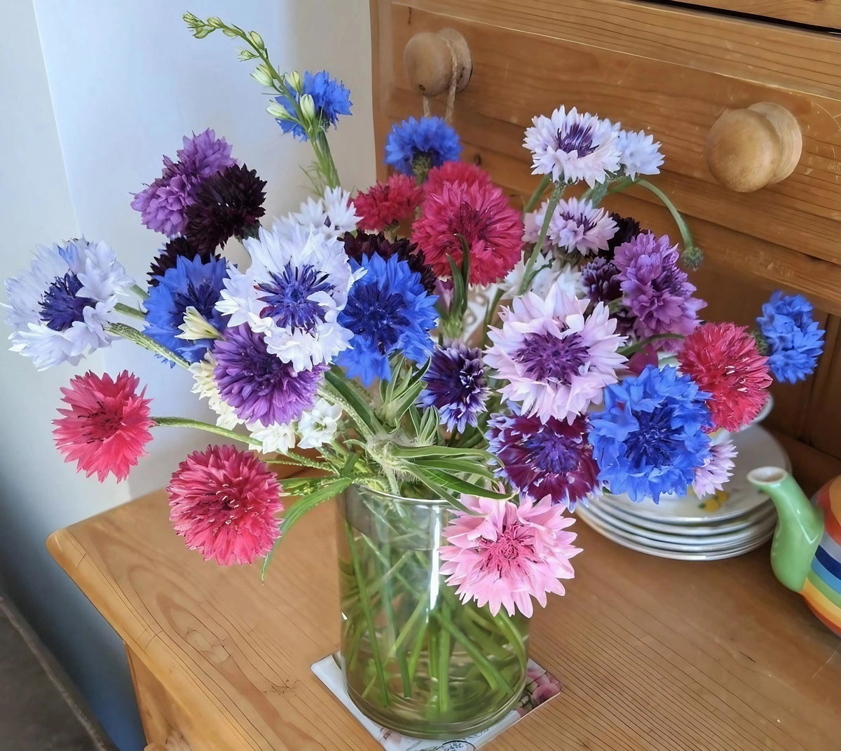 Cornflower Polka Dot Mixed