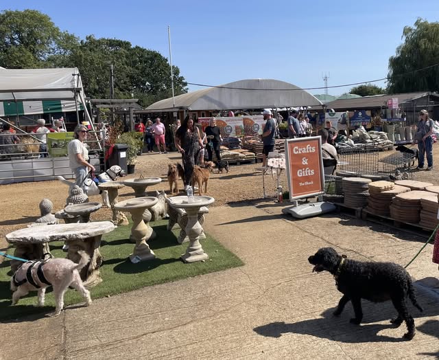 August Bank Holiday Dog Show