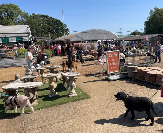 August Bank Holiday Dog Show