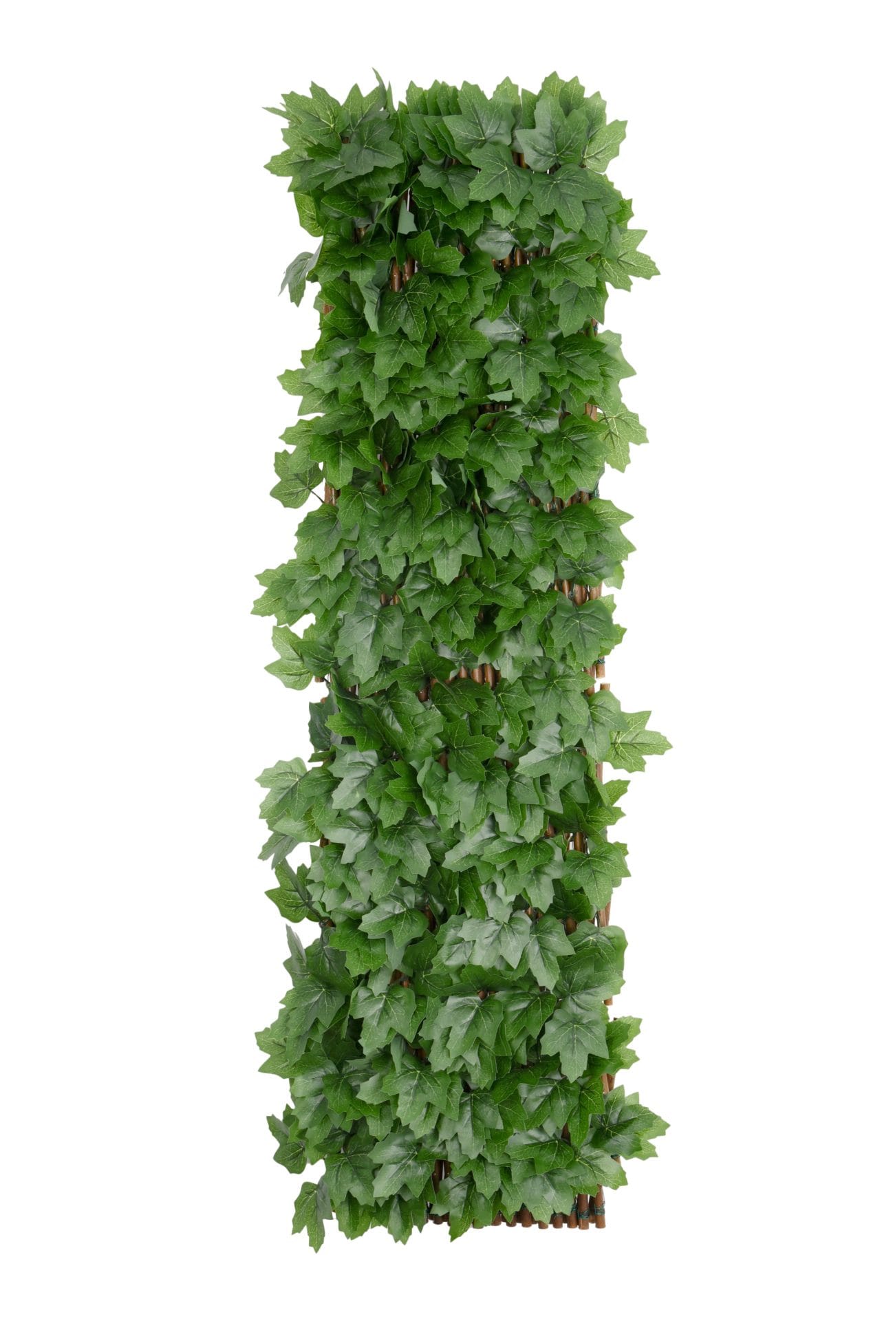 Boston Ivy Willow Expandable Trellis Fence - 90cm x 180cm