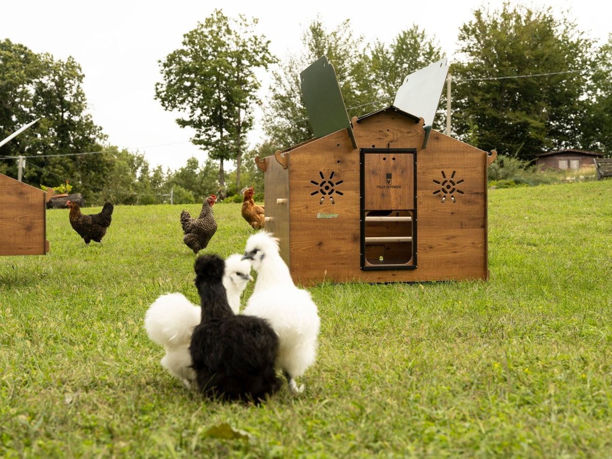 Easicoop Chalet L - HPL Chicken coop up to 7-9 medium Birds