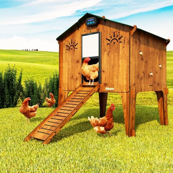 Easicoop Duplex 2XL - HPL Chicken house up to 18 large Birds